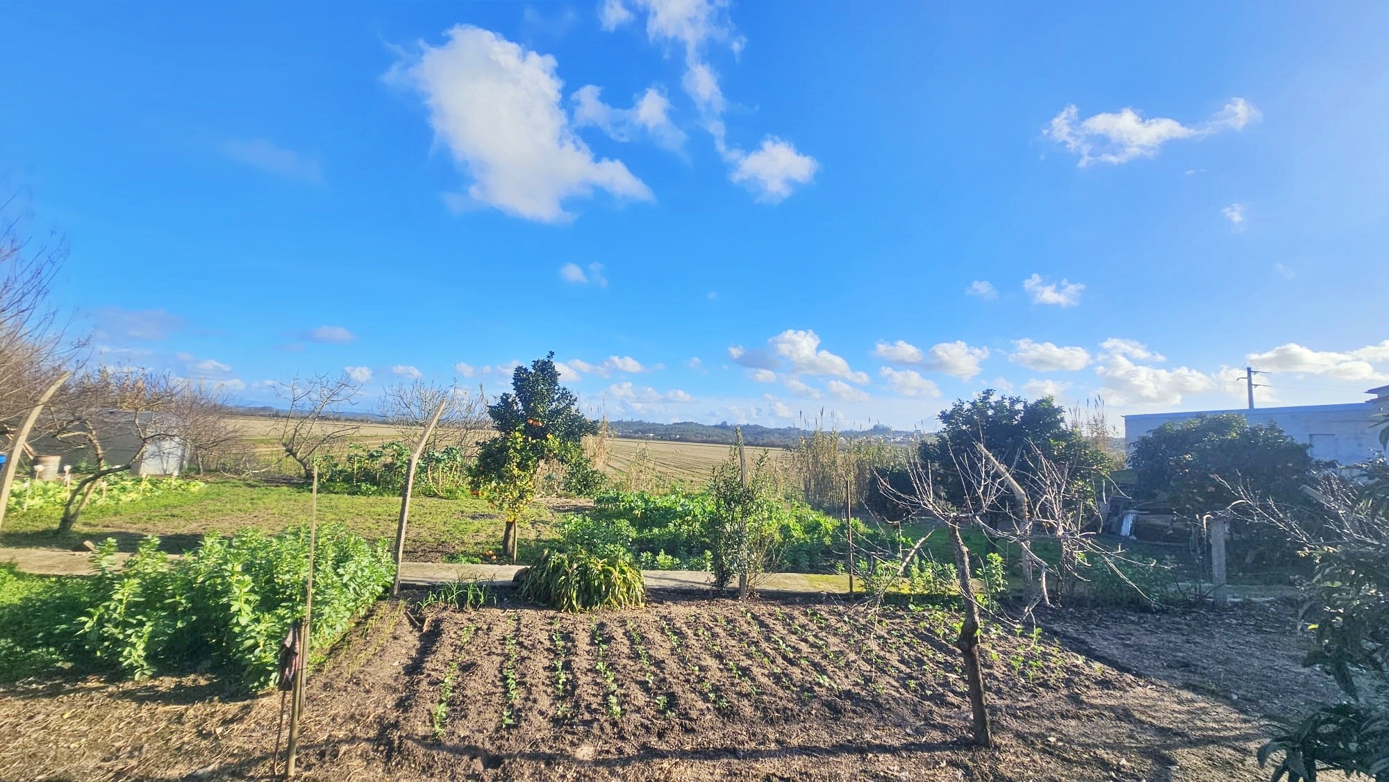 Moradia para Restaurar T1