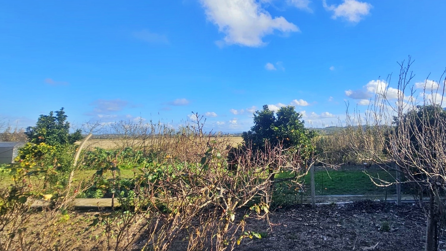 Moradia para Restaurar T1