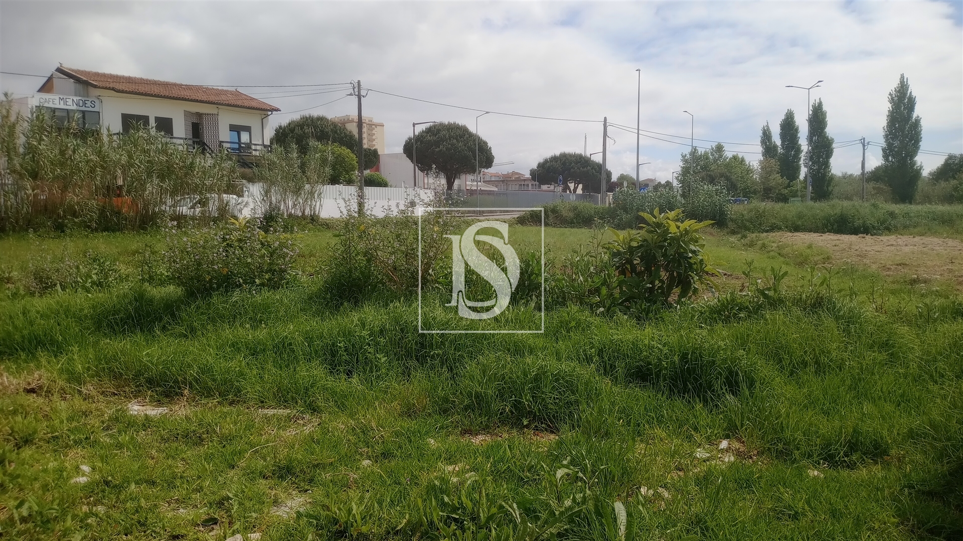 Terreno