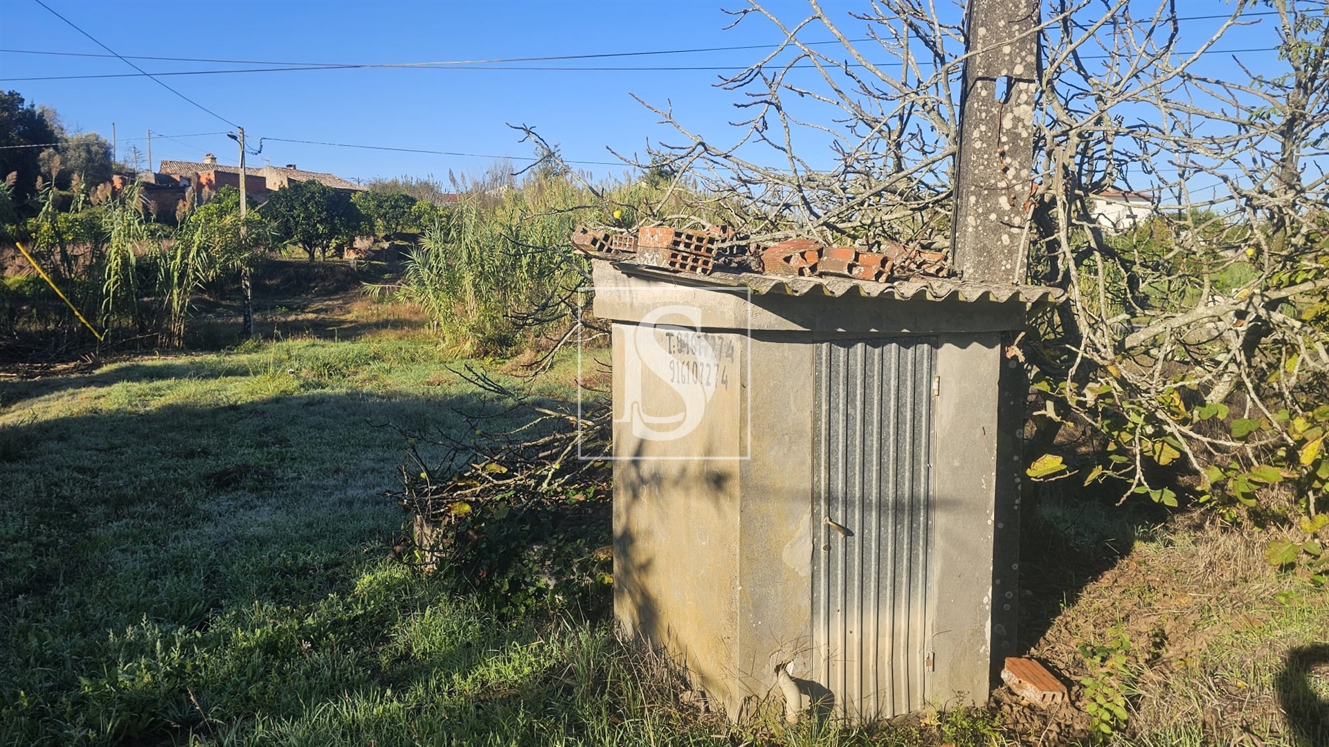 Terreno