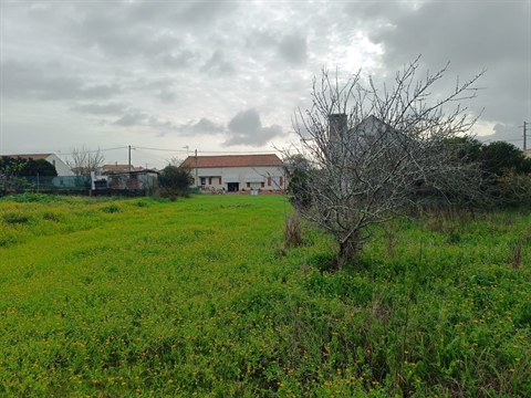 Terreno
